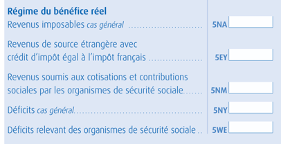 cases-lmnp-declaration-revenus
