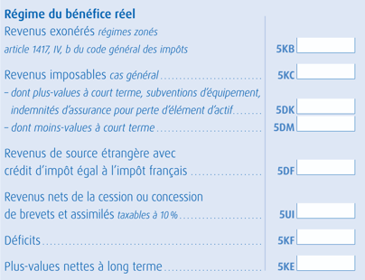 cases-lmp-declaration-revenus